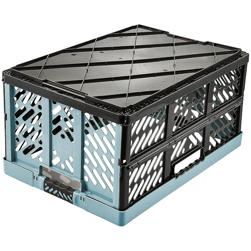 Keeeper Ben Plastic Box, Blue