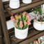 Minner 110cm H x 41cm W Ladder Bookcase