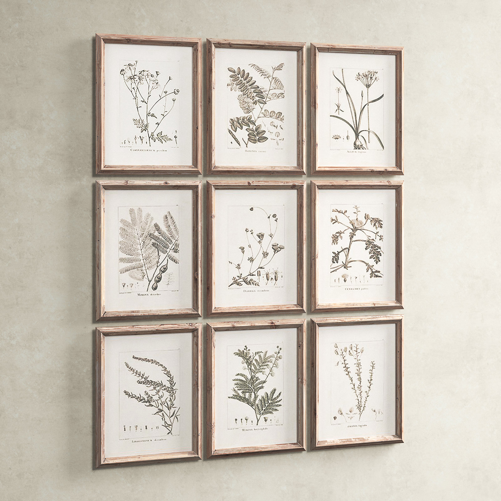 Ridgewood "Botanical" 9-Piece Print Set