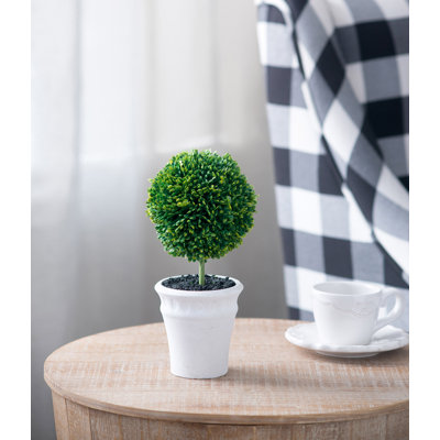 Mini topiaires en pot S / 2 D4x9.5 "
