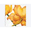 «King Yellow», impression sur toile-73649403-73649408-29483225