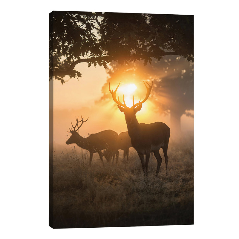 Misty Magic by Max Ellis - Wrapped Canvas Print, 66.04 cm H x 45.72 cm W x 3.175 cm D