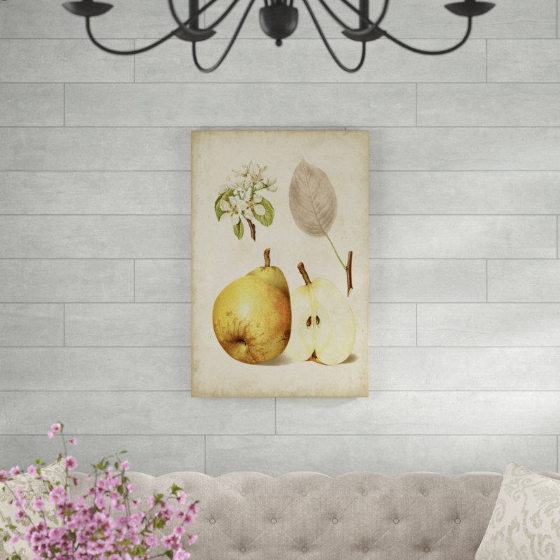 «Harvest Pears II», peinture sur toile, H 36 po x l 24 po