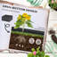 Lit de jardin surélevé galvanisé Outsunny-959734397