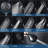 Handheld Shower Head 2.5 GPM GPM-90874501