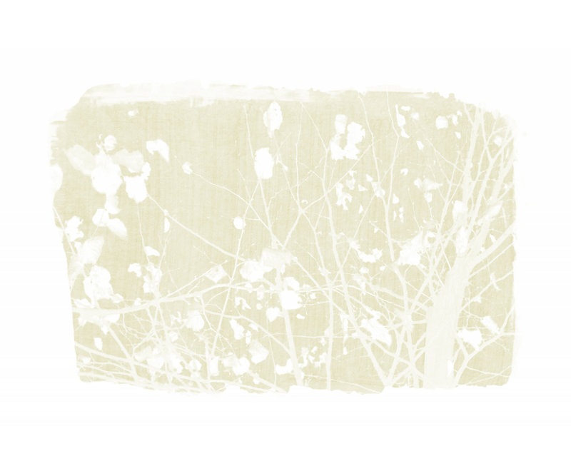 Wrapped Canvas Print, 50.8 cm H x 76.2 cm W