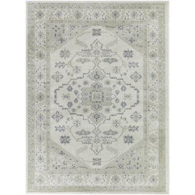Hassen Oriental Indoor Rug