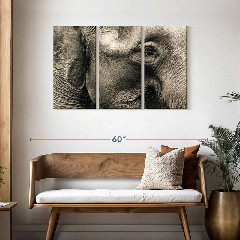 Brampt Wrinkled Elephant Face, 28" H x 45" W