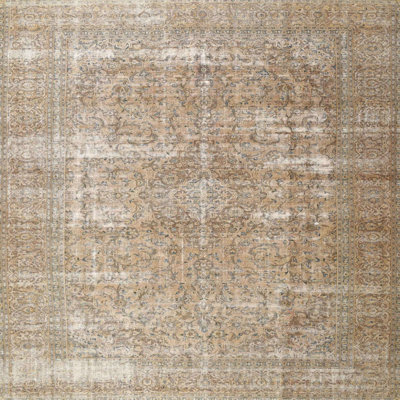 Aleksandra Oriental Indoor Rug
