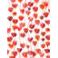 Love Petals Print by Emma Brooks-26676653-26676650