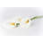 Calla Lily by Honglouwawa - No Frame Art Prints on Canvas-744976023