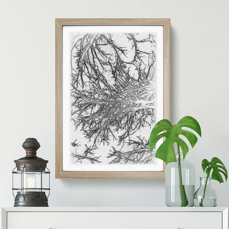 Tree Branches in Central Park New York in Abstract - Picture Frame Graphic Art Print, Oak, 50cm H x 35cm W x 2cm D