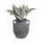 Stoneware Dolomite Vase with Ribbed Texture and Dual Side Handles for Casual Home Decor Transitional Style Accent with Sculptural Design and Durable Craftsmanship for Indoor Display Versatility-514467340-514467824