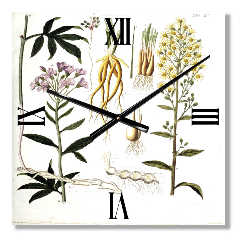 Horloge murale Plant Life, Petit