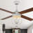 Kahliel 52" Industrial 4-Light Caged Ceiling Fan with Lights and Remote, 6-Speed Reversible Ceiling Fan-507656237-507768121