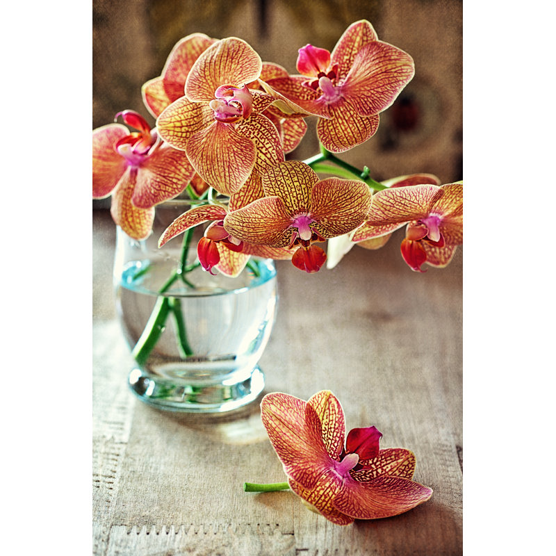 Orchidées en fleurs - Photographie sur toile, H 18 po x l 12 po