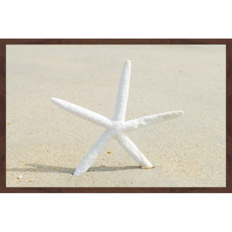 Sharon Kalstek - Single Picture Frame Print, 61cm H x 91cm W x 3.81cm D