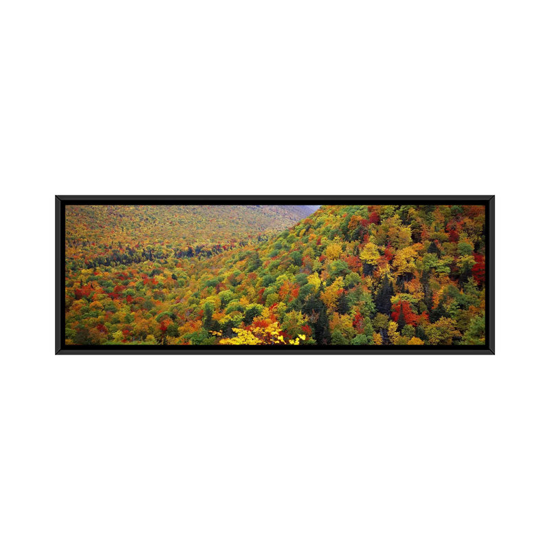 «Mountain Forest in Autumn, Nova Écosse, Canada», reproduction de photo sur toile, H 12 po x l 36 po x 1,5 po