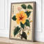 Golden Hibiscus Bloom Botanical - Wrapped Canvas-654481197-654481191