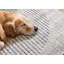 Tapis gris à faible encombrement Beaumys-305872956