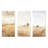 Prairie Beauty Unveiled - Prairies Metal Wall Decor Set Of 3-1895220711