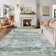 Washable Area Rug Vintage Rug Non Shedding Non Slip Rug Soft Low Pile Thin Rug, Distressed Floral Rug, Retro Oriental Rug, Decorative Printed Rug for Living Room Bedroom