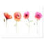 «Watercolor Poppy Flowers S Croquis», impression sur toile tendue-19240329