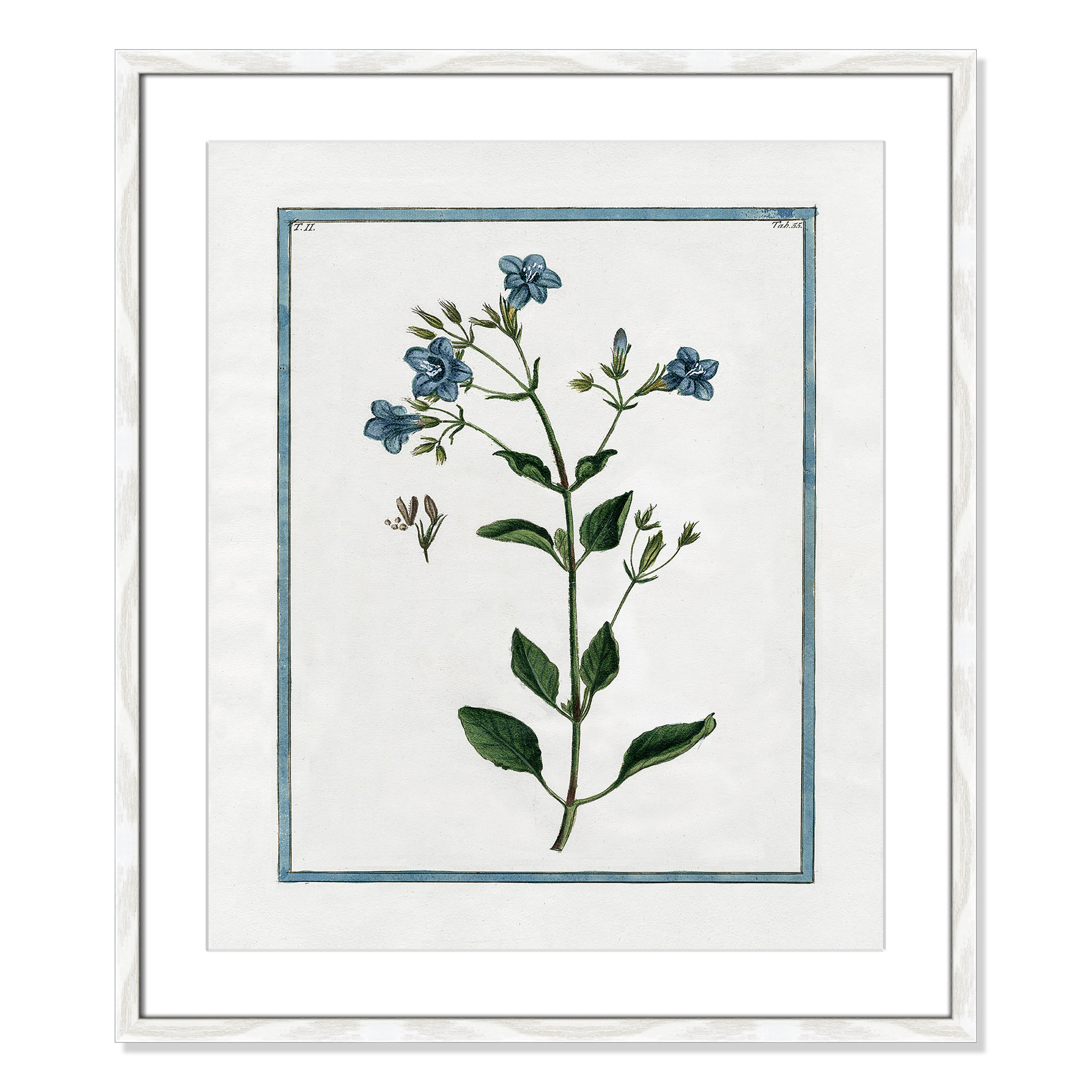 Shabby Elegance Botanical II - Framed Art, White Framed, 21.5" W x 25.5" H