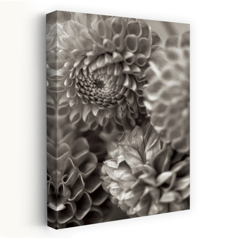 Florison # 13 - Fleurs et nature morte, photographie, fleurs, art de dahlias, H 48 po x l 32 po