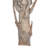 1.5'' Plant