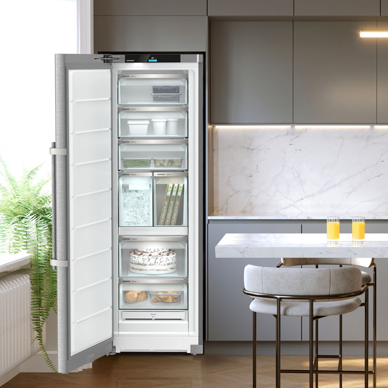 Freestanding Freezer With Nofrost