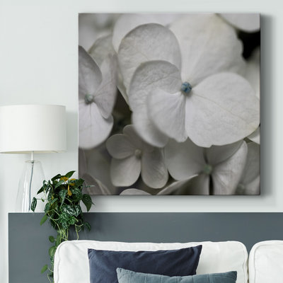Hydrangea II sur toile