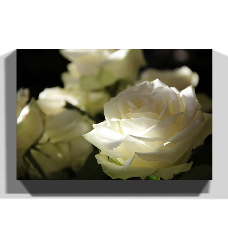 Wrapped Canvas Print, 50cm H x 76cm W