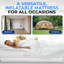 18 matelas gonflables