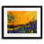 Black Framed Paper selected