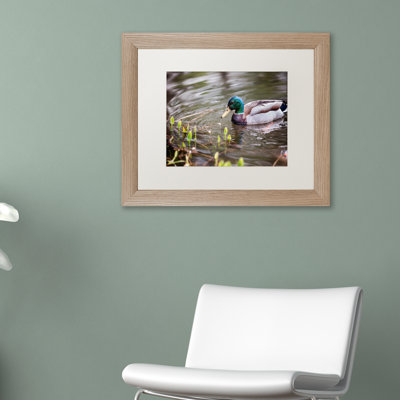 «Joden Mallard» par Jason Shaffer, reproduction de photo encadrée