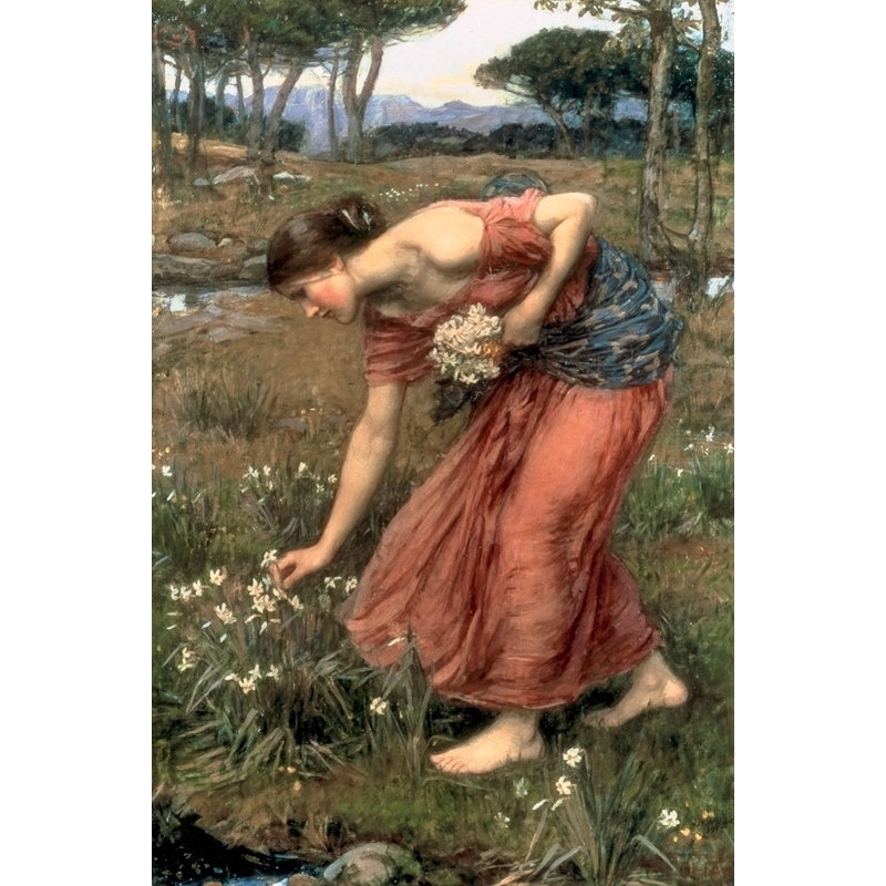 Narcisse, H 24 po x l 16 po