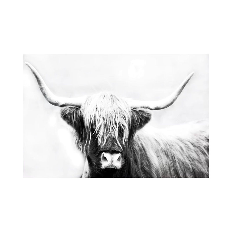 Danita Delimont by Danita Delimont - Wrapped Canvas Gallery-Wrapped Canvas Giclée