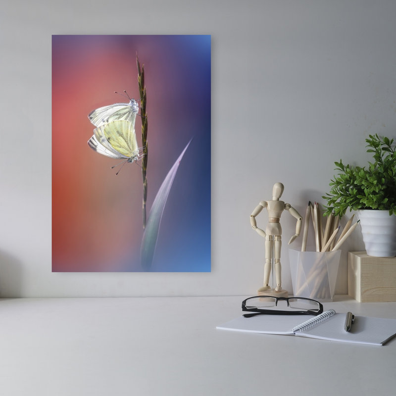 Gentle Butterfly Love Delicate Peaceful Serene Butterfly Nature Plant Wall Art Print 1 Piece Wrapped Canvas Wall Art