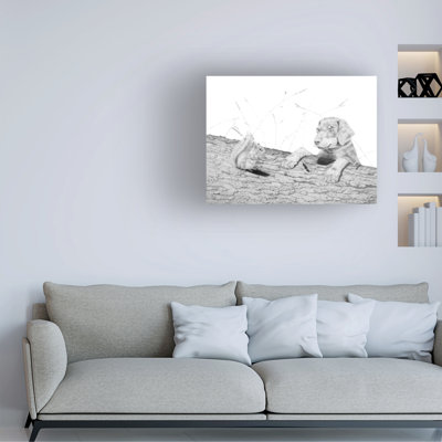 Œuvre sur toile «bolologic», Darlene Pavlovich