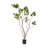 4' Artificial Potted Cotinus Coggygria Tree-20583849