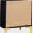 Black and Gold 2-Drawer Rectangular Nightstand-1680929029