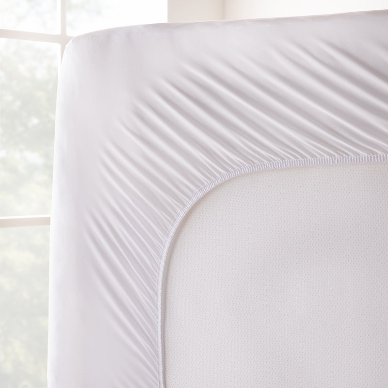 Falco 0.5'' Down Alternative Mattress Pad, Queen