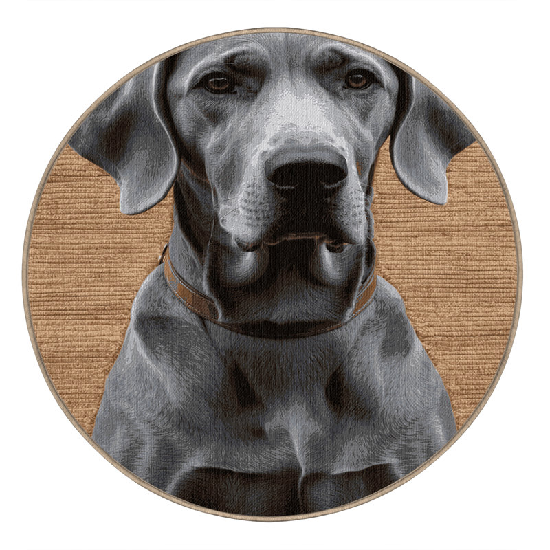  Tapis lavable pour chiens Weimaraner, Rond 3 pi