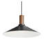 Emblem 1 - Light Pendant-94655710-74747929-74747930