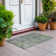  Machine Washable Indoor/Outdoor Chantille ACN1220 Rug