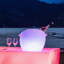 Fresh Champagne Bucket-304985346