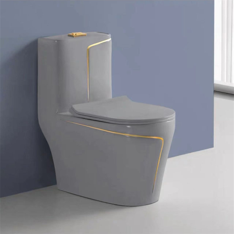 Dual-Flush Elongated One-Piece Toilet (Seat Included)