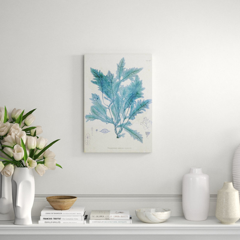 Delesseria Print by Henry Bradbury, 26" H x 18" W x 1.5" D, Glass Coat