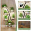 Plant Stand